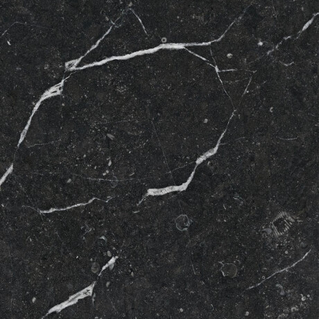 Gres smaltato per pavimenti 60x120, nero con venature dorate, lucido, rettificato A4H109 Pierre Black #15