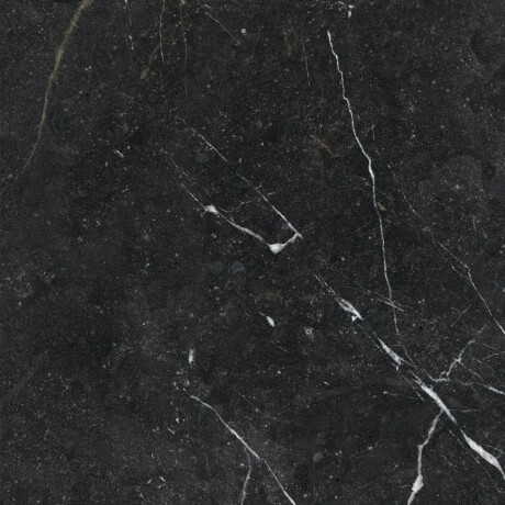 Gres smaltato per pavimenti 60x120, nero con venature dorate, lucido, rettificato A4H109 Pierre Black #21