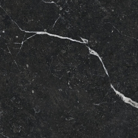 Gres smaltato per pavimenti 60x120, nero con venature dorate, lucido, rettificato A4H109 Pierre Black #37