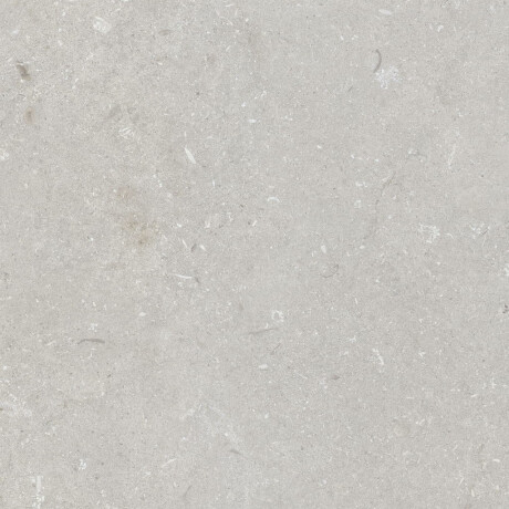 Gres per pavimenti 60x120 cm grigio chiaro opaco A4H1093 Shellstone Bianco #1