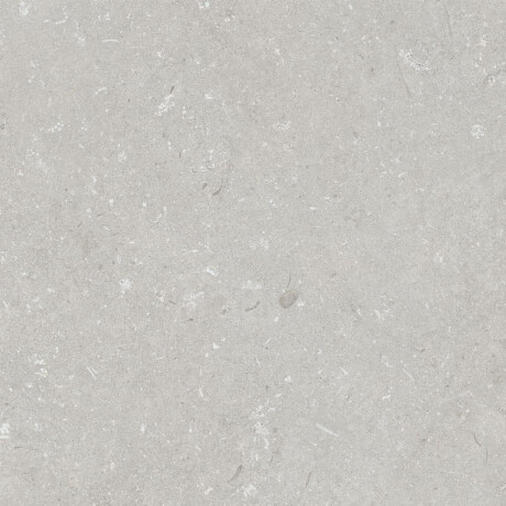 Gres per pavimenti 60x120 cm grigio chiaro opaco A4H1093 Shellstone Bianco #2
