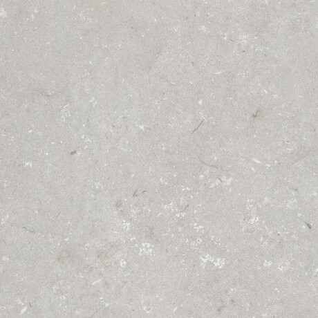 Gres per pavimenti 60x120 cm grigio chiaro opaco A4H1093 Shellstone Bianco #3