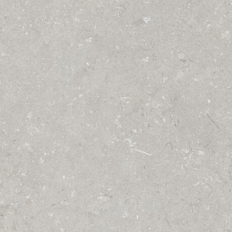 Gres per pavimenti 60x120 cm grigio chiaro opaco A4H1093 Shellstone Bianco #4