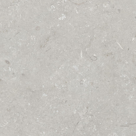 Gres per pavimenti 60x120 cm grigio chiaro opaco A4H1093 Shellstone Bianco #5