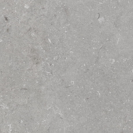 Piastrelle in gres porcellanato per pavimenti 60x120 cm, grigio opaco A4H1096 Shellstone Grigio #4