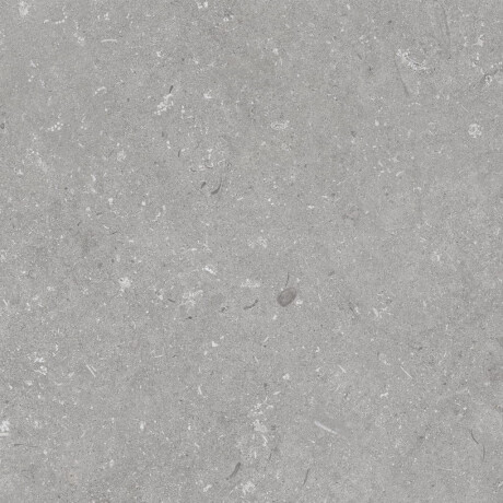 Piastrelle in gres porcellanato per pavimenti 60x120 cm, grigio opaco A4H1096 Shellstone Grigio #5