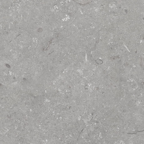Piastrelle in gres porcellanato per pavimenti 60x120 cm, grigio opaco A4H1096 Shellstone Grigio #8