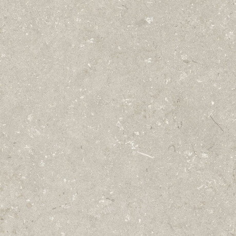 Gres per pavimenti 60x120 cm beige opaco A4H1099 Shellstone Beige #6