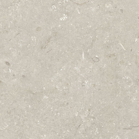Gres per pavimenti 60x120 cm beige opaco A4H1099 Shellstone Beige #7