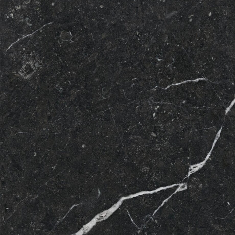 Gres smaltato per pavimenti 60x120 con venature dorate, opaco, rettificato A4H110 Pierre Black #15