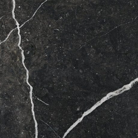 Gres smaltato per pavimenti 60x120 con venature dorate, opaco, rettificato A4H110 Pierre Black #22