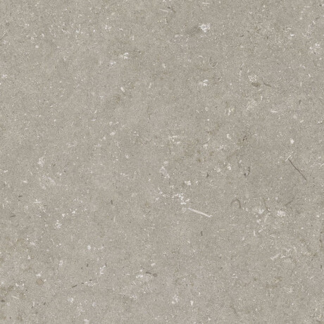 Gres per pavimenti 60x120 cm, color taupe opaco, codice A4H1102 Shellstone Taupe #4
