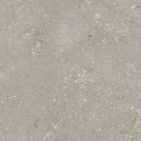 Gres per pavimenti 60x120 cm, color taupe opaco, codice A4H1102 Shellstone Taupe #5