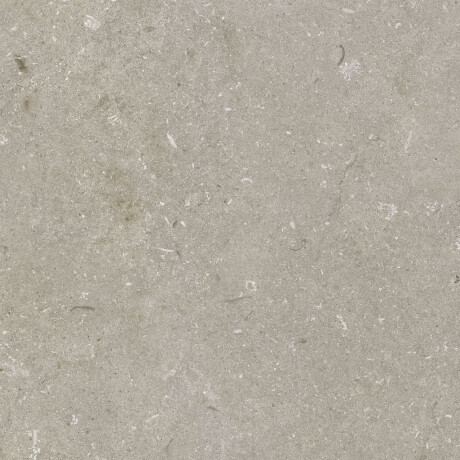 Gres per pavimenti 60x120 cm, color taupe opaco, codice A4H1102 Shellstone Taupe #6