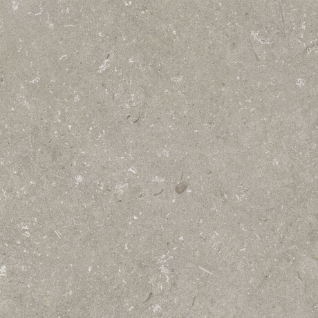 Gres per pavimenti 60x120 cm, color taupe opaco, codice A4H1102 Shellstone Taupe #7