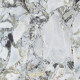 Piastrelle in gres porcellanato per pavimenti 120x120, marmo bianco con venature dorate, lucido A4H1120 Bellezza Bianca #3