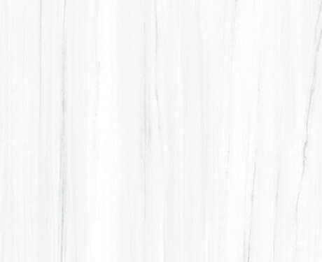 Piastrella in gres porcellanato di grande formato 120x270 cm con venature grigie, lucida, rettificata A4H185 Dolomite