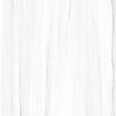 Piastrella in gres porcellanato di grande formato per pavimenti, 120×280 cm, grigia opaca con delicate venature, rettificata A4H186 Dolomite #7