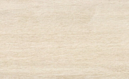 Piastrelle in gres porcellanato effetto legno per pavimenti, 23x120, colore ambra chiaro opaco, A4H503 Amberly Light