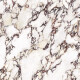 Gres di grande formato 120x280, effetto marmo con venature viola, lucido A4H840 Calakatta Wiola #4