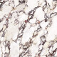 Gres di grande formato 120x280, effetto marmo con venature viola, lucido A4H840 Calakatta Wiola #6