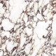 Gres di grande formato 120x280, effetto marmo con venature viola, opaco A4H844 Calakatta Wiola #7