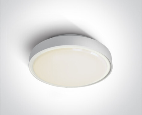 RAFTI AN plafoniera 24W 3000K IP65 antracite