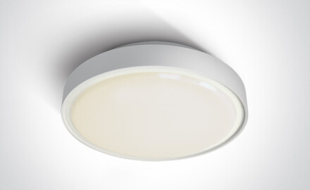RAFTI EA plafoniera 2x12W  IP65 nera
