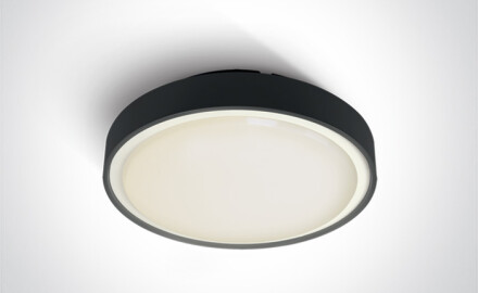 RAFTI E plafoniera da 12 W  IP65 antracite