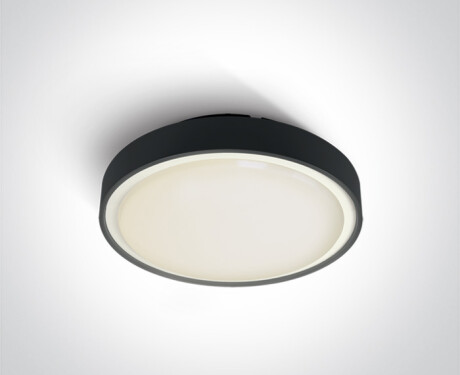 RAFTI E plafoniera da 12 W  IP65 antracite