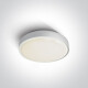 RAFTI E plafoniera da 12 W, IP65, grigia #1