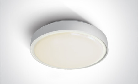 RAFTI N plafoniera 16 W 3000 K IP65 grigia