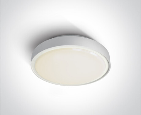 RAFTI N plafoniera 16 W 3000 K IP65 grigia