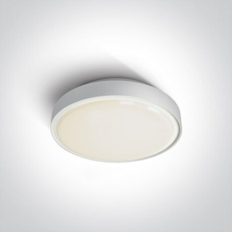 RAFTI N plafoniera 16 W 3000 K IP65 grigia #1