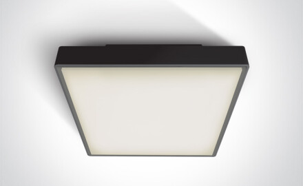 PIRNARI EA plafoniera 2x12W E27 IP65 antracite